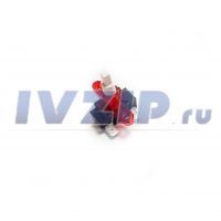 Выключатель (кнопка) для в/н Thermex BR25