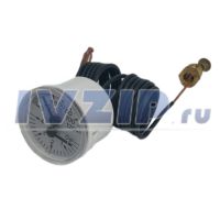 Термоманометр котла Protherm Mmergas 1.013413 Eolo Star Mini G1/4 0020027625