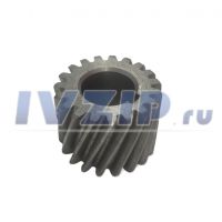 Колесо зубчатое Z-19 12.010 (УКМ)